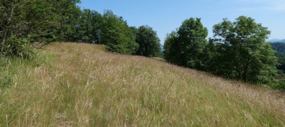 Villa de 6 habitaciónes en Cairo Montenotte, Italy No. 273825 46