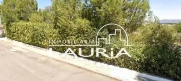 10001m² Land in Moncada, Spain No. 138217 2