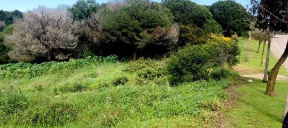  Land in Cadiz, Spain No. 146843 4