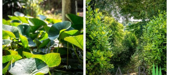 8 bedrooms Villa in Cetona, Italy No. 58425 32