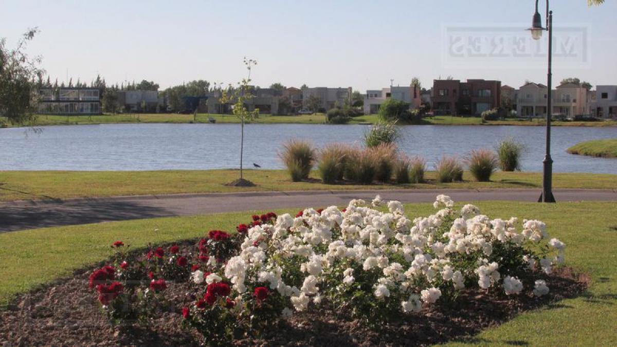  Land in Tigre, Argentina No. 43046