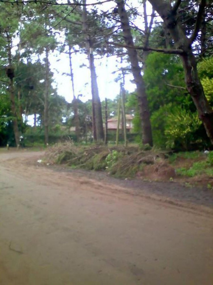  Land in Mar del Plata, Argentina No. 112867