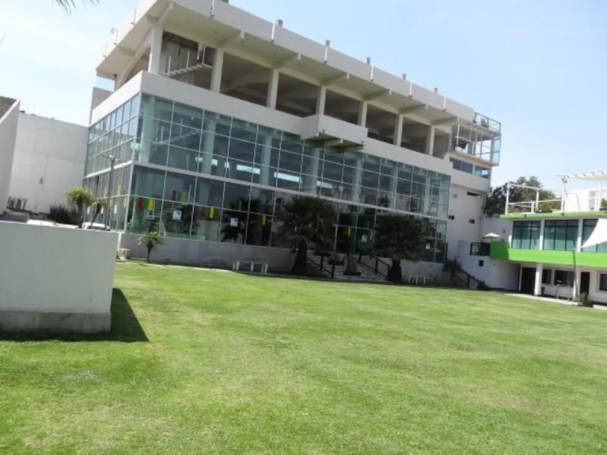 Офис в Тепоцотлан, Мексика № 202479