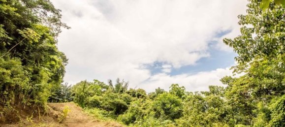  Land in Nicoya, Costa Rica No. 1509 2