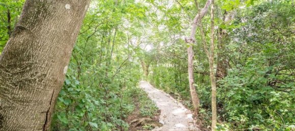  Land in Nicoya, Costa Rica No. 1509 5