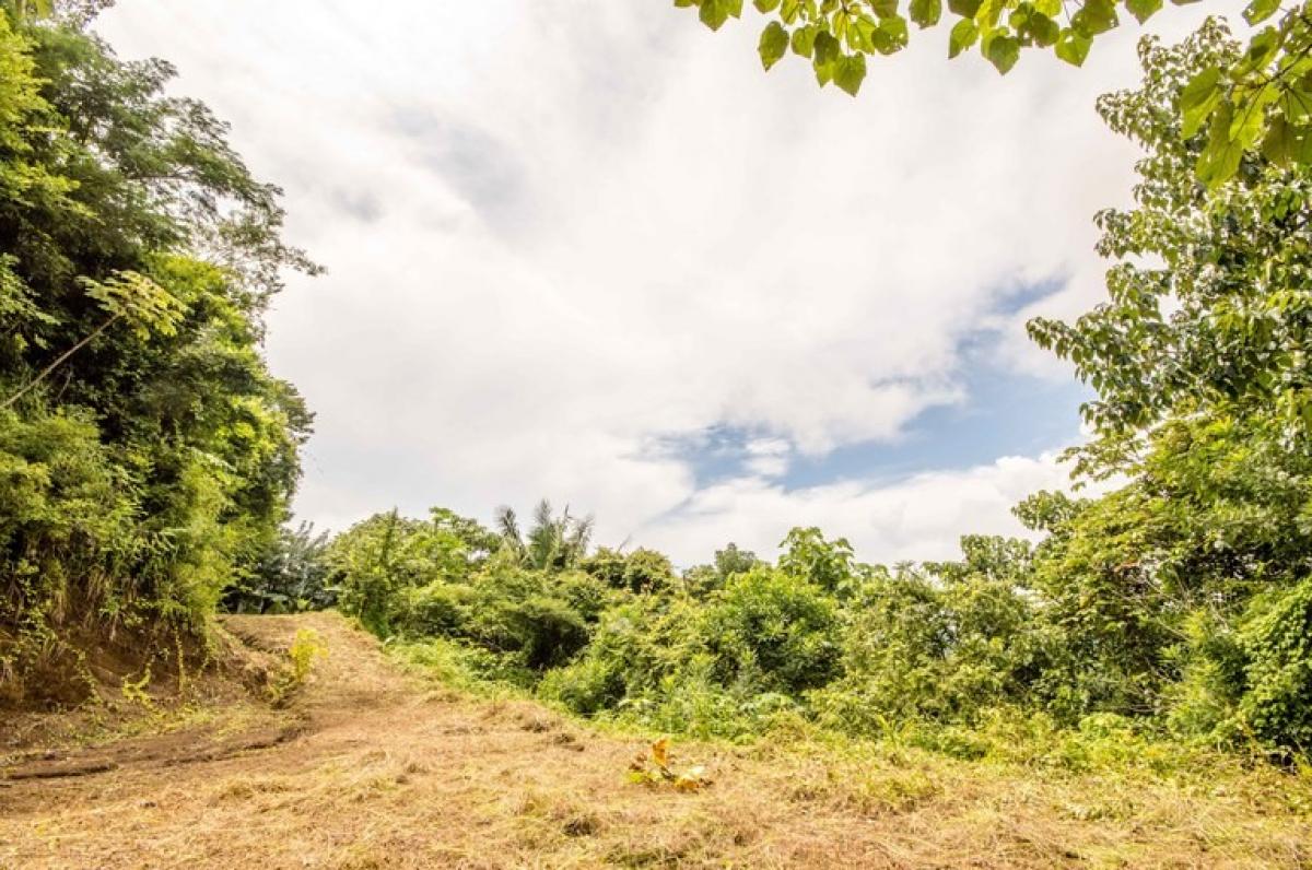  Land in Nicoya, Costa Rica No. 1509