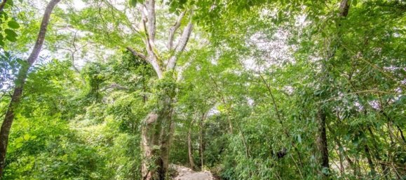  Land in Nicoya, Costa Rica No. 1509 4