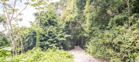  Land in Nicoya, Costa Rica No. 1509 3