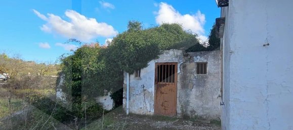 2 bedrooms Villa in Locorotondo, Italy No. 28454 6
