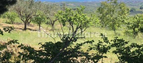 3 bedrooms House in Cupello, Italy No. 236738 7