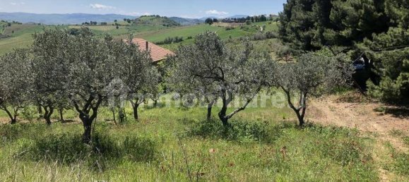 3 bedrooms House in Cupello, Italy No. 236738 10