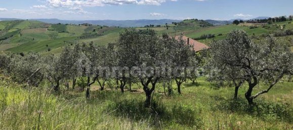 3 bedrooms House in Cupello, Italy No. 236738 5