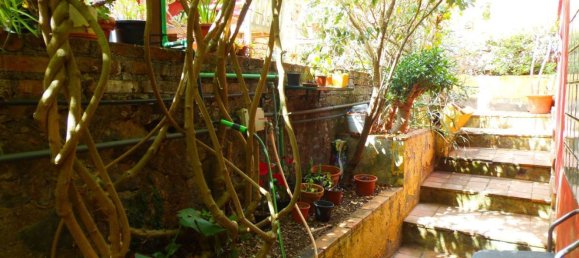 3 bedrooms House in Tacoronte, Spain No. 31259 15