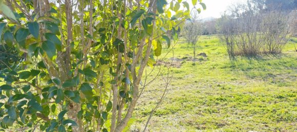 Terrain à Saint-Alexandre, France No. 98746 4