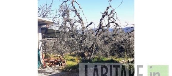 Terreno de 1 habitación en Montespertoli, Italy No. 26484 6