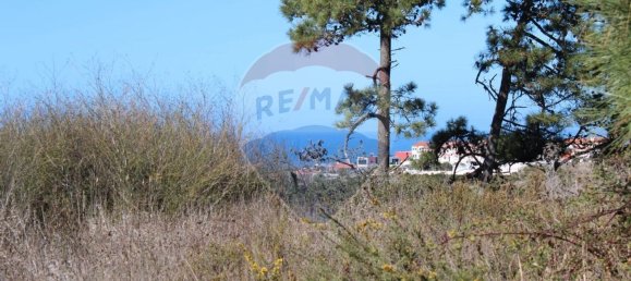 Terreno en Sintra, Portugal 15880 m² No. 58372 2