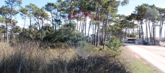 Terreno en Sintra, Portugal 15880 m² No. 58372 5