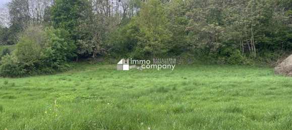  قطعة أرض في Persenbeug-Gottsdorf, Austria رقم 134657 5