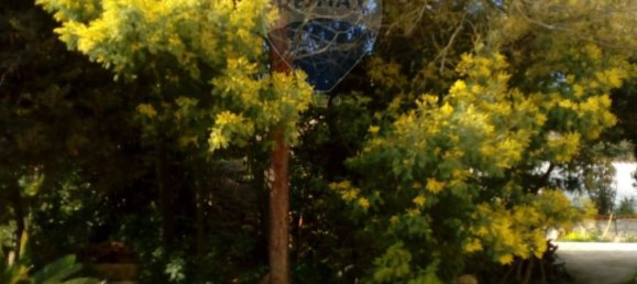 2 Schlafzimmer Villa in Civitavecchia, Italy, Nr. 308676 13