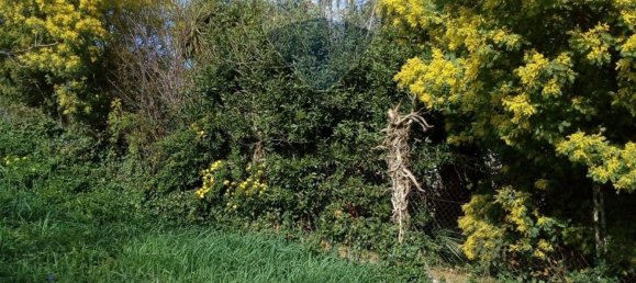 2 Schlafzimmer Villa in Civitavecchia, Italy, Nr. 308676 21