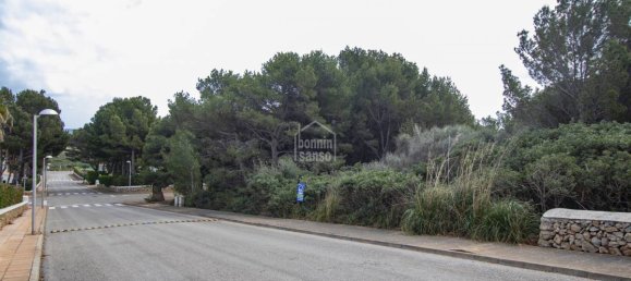  Land in Es Mercadal, Spain No. 3774 5
