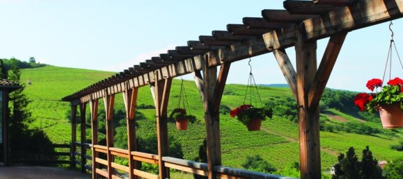 4 bedrooms House in Rhone, France No. 295482 3