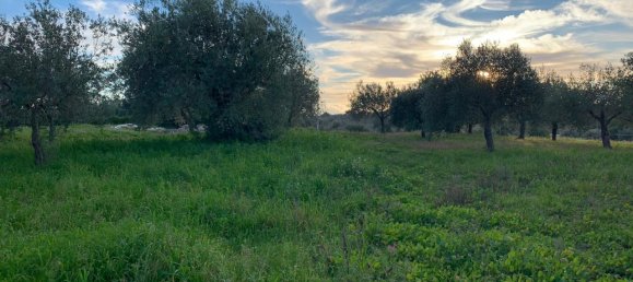 2-Zimmer Haus in Modica, Italy, Nr. 224840 9