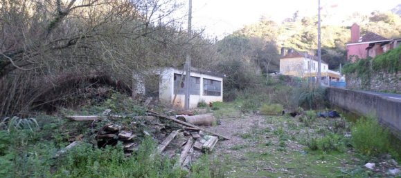 1 bedroom House in Sintra, Portugal No. 56512 15