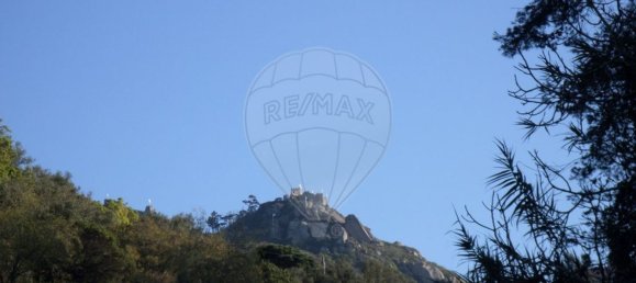 1 bedroom House in Sintra, Portugal No. 56512 10