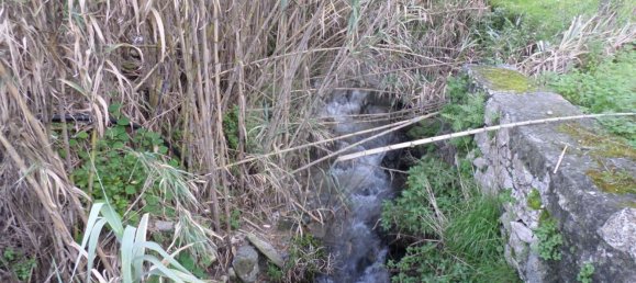 1 bedroom House in Sintra, Portugal No. 56512 11