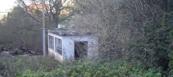 1 bedroom House in Sintra, Portugal No. 56512 14