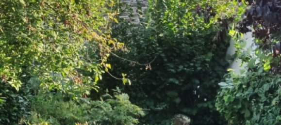 2 غرف نوم عقار تجاري في Main-Kinzig, Germany رقم 342342 11