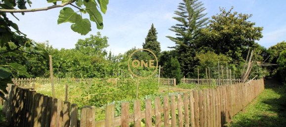 Terrain à Vila Nova de Famalicao, Portugal 1867m² No. 154553 6