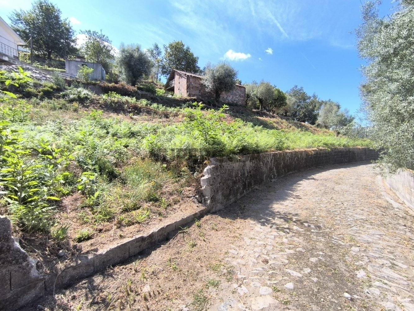  Land in Viana do Castelo, Portugal No. 280576