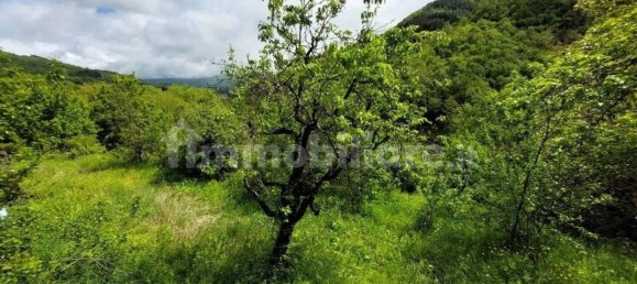 8 chambres Villa à Castel San Niccolò, Italy No. 214571 12