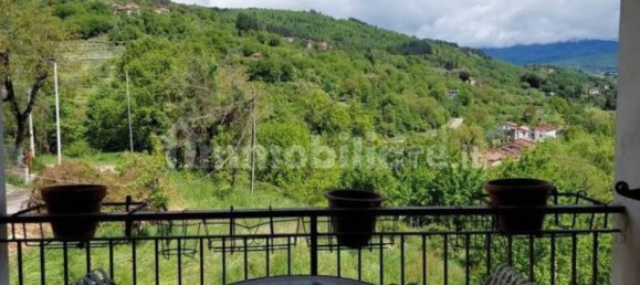 8 chambres Villa à Castel San Niccolò, Italy No. 214571 29