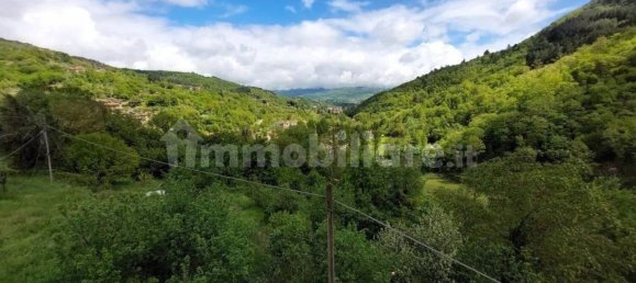 8 chambres Villa à Castel San Niccolò, Italy No. 214571 16