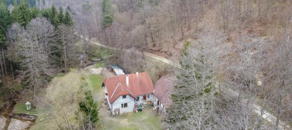 3 rooms House in St. Leonhard am Hornerwald, Austria No. 129002 33