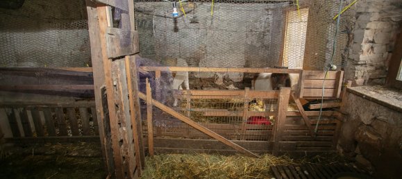 3 rooms House in St. Leonhard am Hornerwald, Austria No. 129002 28