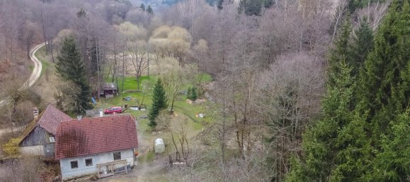 3 rooms House in St. Leonhard am Hornerwald, Austria No. 129002 3