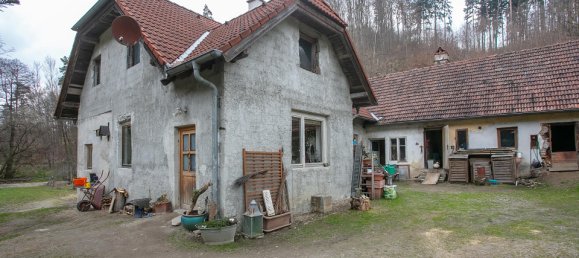 3 rooms House in St. Leonhard am Hornerwald, Austria No. 129002 17