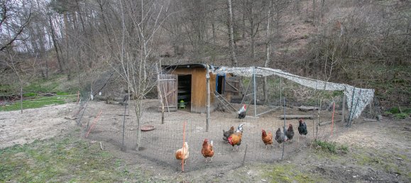 3 rooms House in St. Leonhard am Hornerwald, Austria No. 129002 31