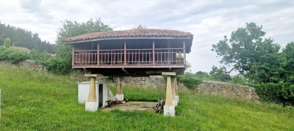 3 Schlafzimmer Haus in Asturias, Spain, Nr. 164930 4