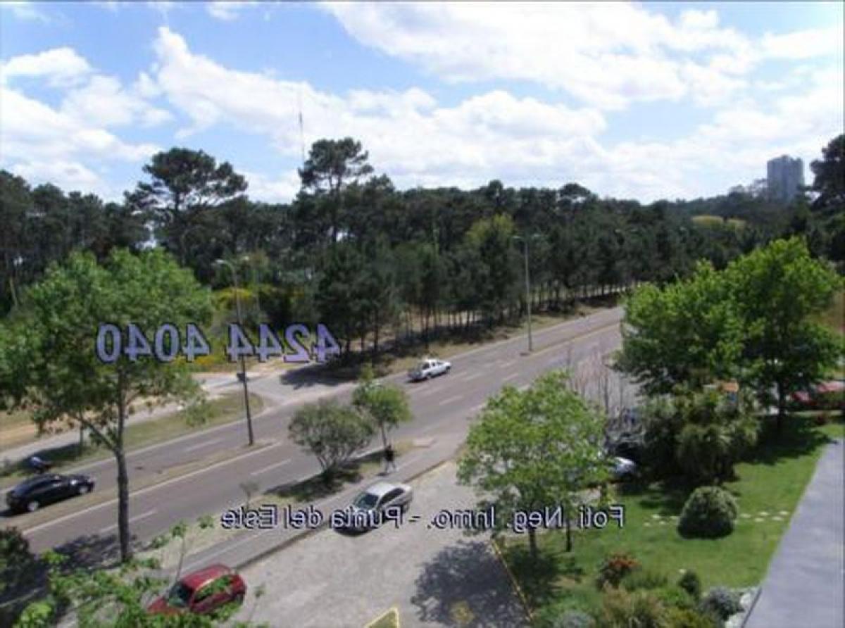 2 bedrooms Apartment in Punta del Este, Uruguay No. 11377