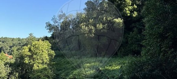 3 Schlafzimmer Haus in Evora de Alcobaca, Portugal, Nr. 15326 11