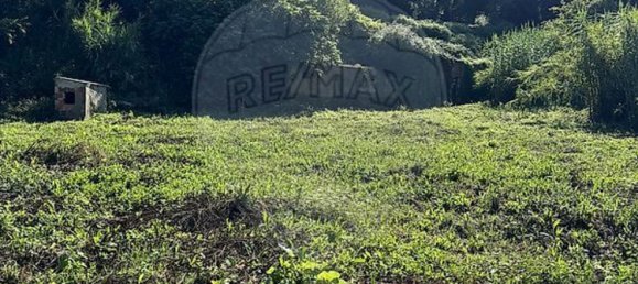 3 Schlafzimmer Haus in Evora de Alcobaca, Portugal, Nr. 15326 10