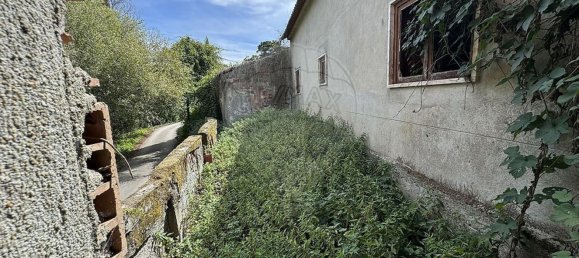 3 Schlafzimmer Haus in Evora de Alcobaca, Portugal, Nr. 15326 15