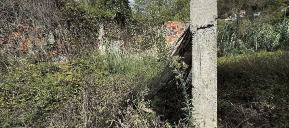 3 Schlafzimmer Haus in Evora de Alcobaca, Portugal, Nr. 15326 8