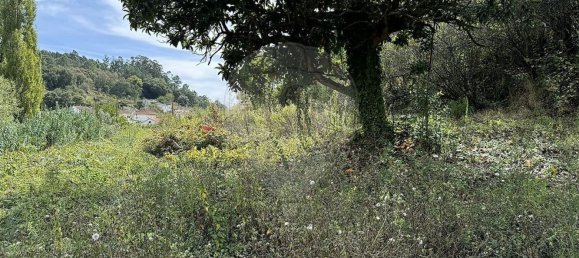 3 Schlafzimmer Haus in Evora de Alcobaca, Portugal, Nr. 15326 9