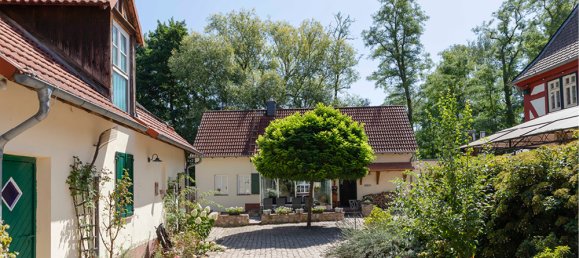 12 rooms Farm in Main-Taunus, Germany No. 305849 31
